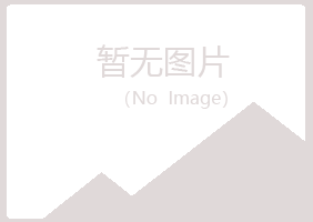 师宗县山柏金属有限公司